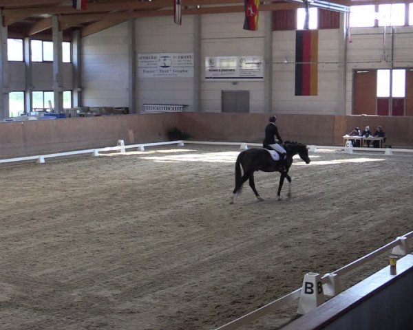 Reitturnier Prussendorf 2021