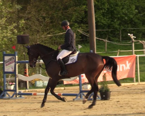 Reitturnier Oelde 2021