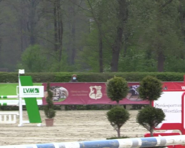 Reitturnier Münster-Handorf 2021