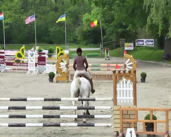 jumper Cornwall 6 (Hessian Warmblood, 2000, from Corelli)