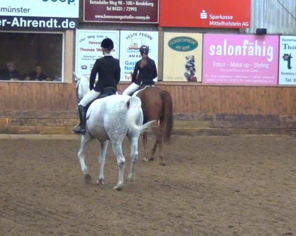 dressage horse Herr von Bödefeld 2 (Trakehner, 2003, from Fabricio)