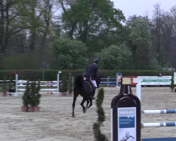 Reitturnier Münster-Handorf 2021