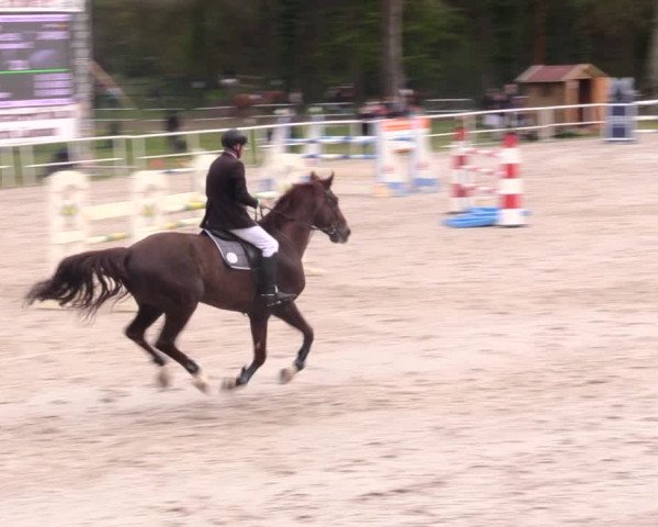 Reitturnier Prussendorf 2021