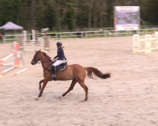 Reitturnier Prussendorf 2021