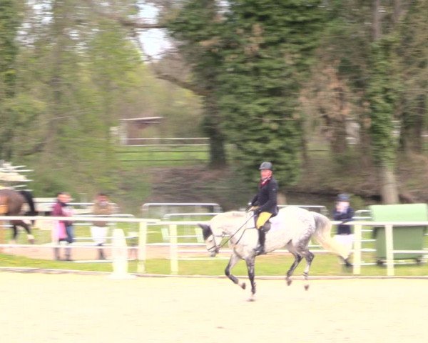Reitturnier Prussendorf 2021