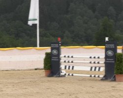 jumper Querido 27 (Oldenburg, 2000, from Quattro B)