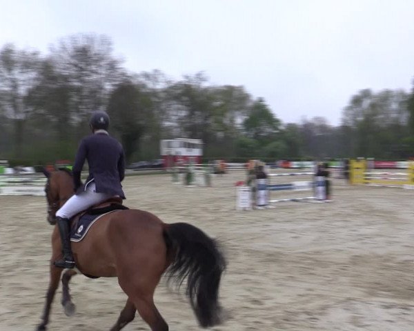 Reitturnier Münster-Handorf 2021