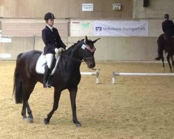 jumper Ronaldino (Hanoverian, 2003, from Rubin Royal OLD)