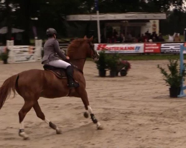 jumper Lucatoni 6 (Westphalian, 2004, from Lissabon 29)