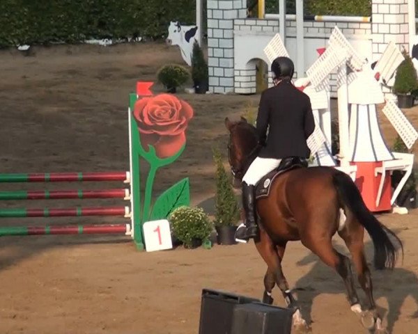jumper Chandor 8 (Rhinelander, 2001, from Co-Pilot)