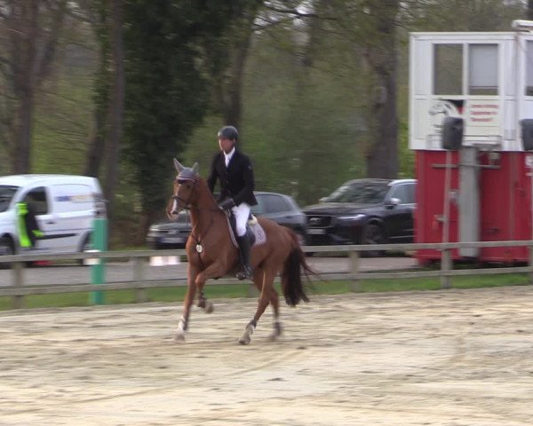 Reitturnier Münster-Handorf 2021