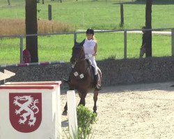 jumper Christobal 14 (Bavarian, 2000, from Captain Paul I)