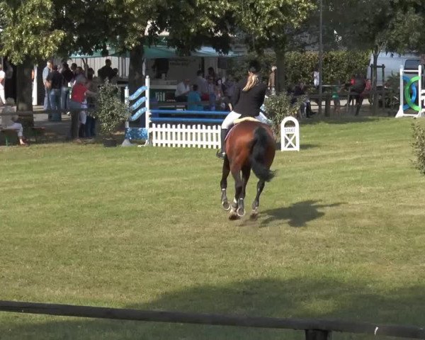 jumper Camira 42 (Hanoverian, 2003, from Contendro I)