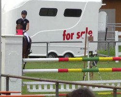 jumper Varnita L (KWPN (Royal Dutch Sporthorse), 2002, from Hold Up Premier)