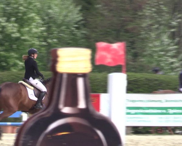 Reitturnier Münster-Handorf 2021