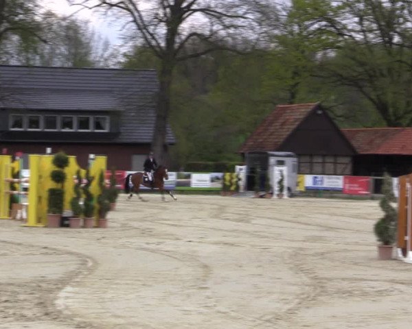 Reitturnier Münster-Handorf 2021