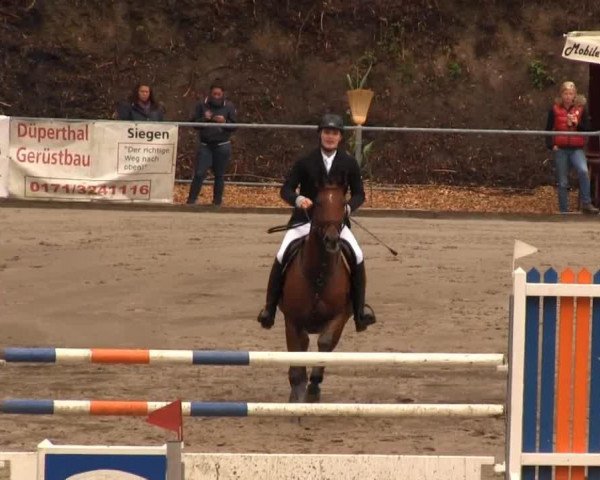 jumper Agathe 33 (German Sport Horse, 2004, from Askanier)