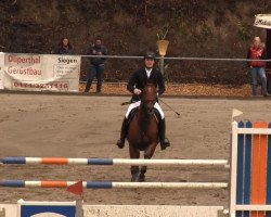 jumper Agathe 33 (German Sport Horse, 2004, from Askanier)