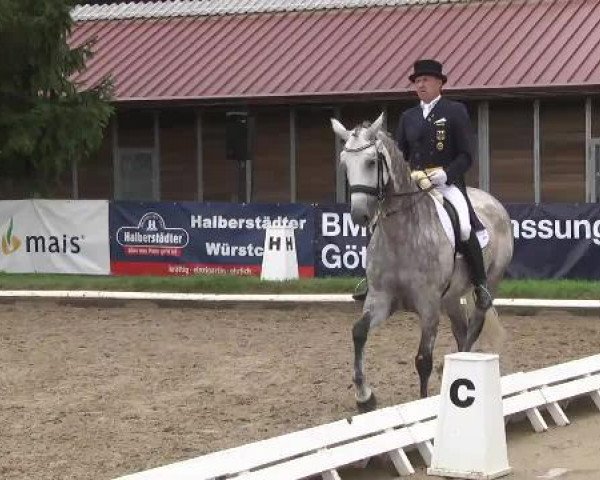 dressage horse Eliot 59 (German Sport Horse, 2004, from Expo'se)