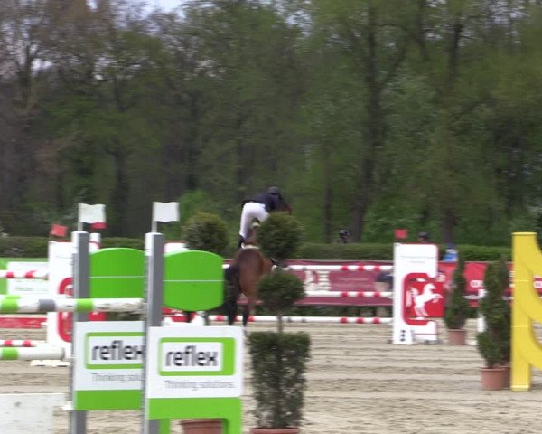 Reitturnier Münster-Handorf 2021