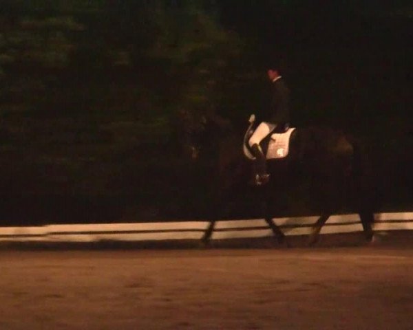 dressage horse Fleurelle (Rhinelander, 2000, from Florestan I)