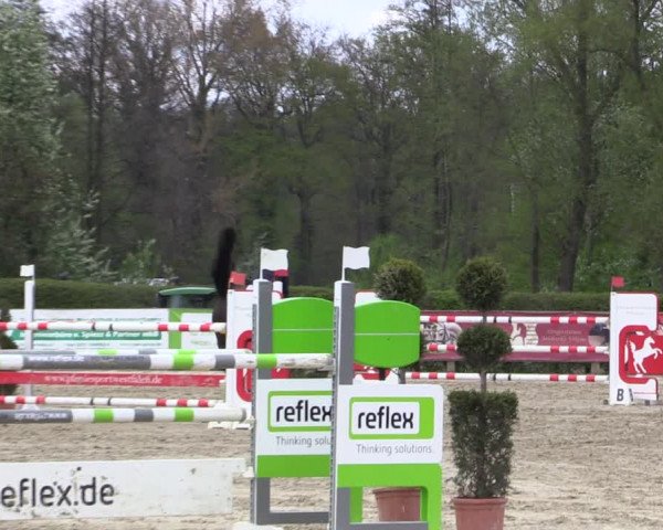 Reitturnier Münster-Handorf 2021