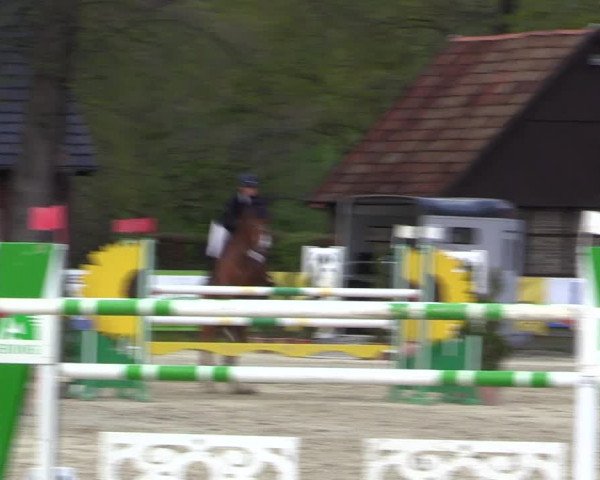 Reitturnier Münster-Handorf 2021