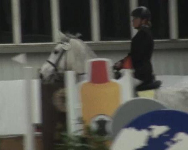 jumper Shanghai 13 (Oldenburg, 2005, from Silvio I)