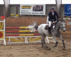 jumper White Lady 77 (Holsteiner, 2006, from Quinar)