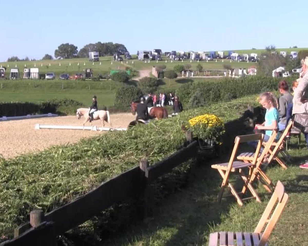 dressage horse Escape 21 (Hanoverian, 1999, from Escudo I)