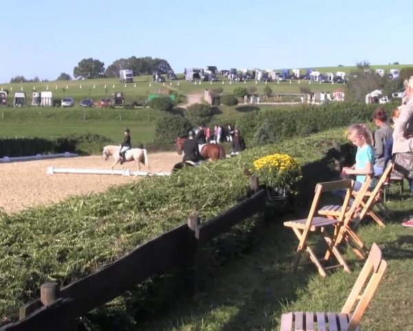 dressage horse Escape 21 (Hanoverian, 1999, from Escudo I)