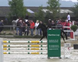 broodmare Emily (German Riding Pony, 1993, from Feldhofs Vicko)