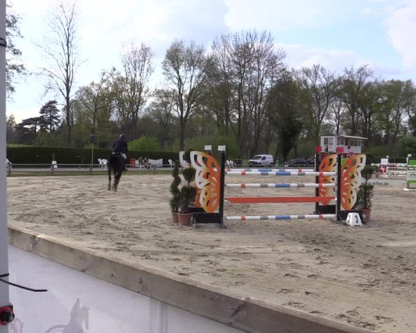 Reitturnier Münster-Handorf 2021