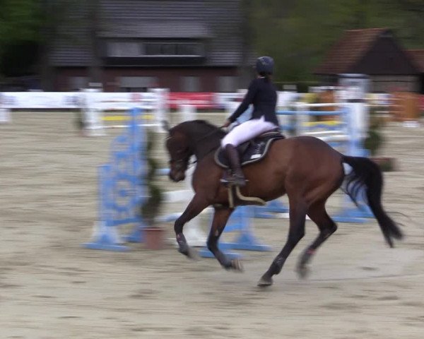 Reitturnier Münster-Handorf 2021
