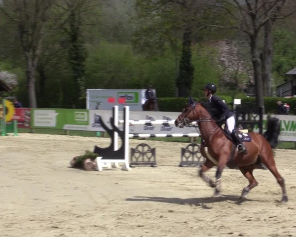 Reitturnier Münster-Handorf 2021