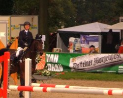 jumper Curanyi (Holsteiner, 2006, from Clearway)