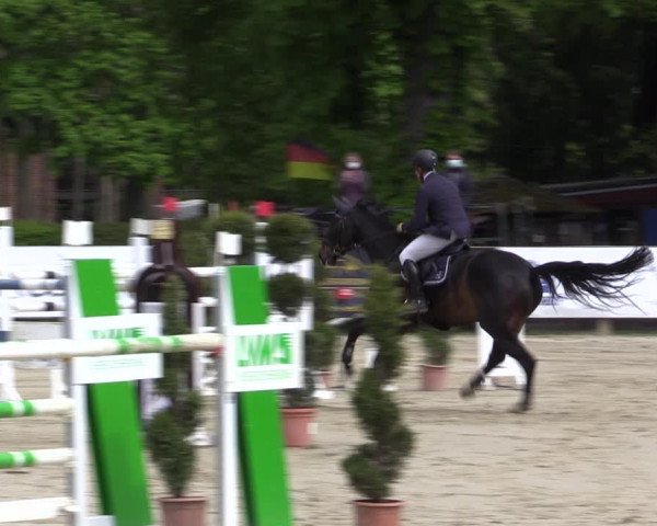 Reitturnier Münster-Handorf 2021
