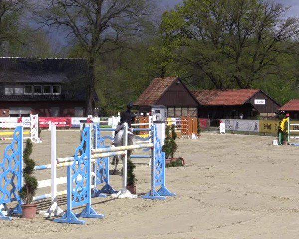 Reitturnier Münster-Handorf 2021
