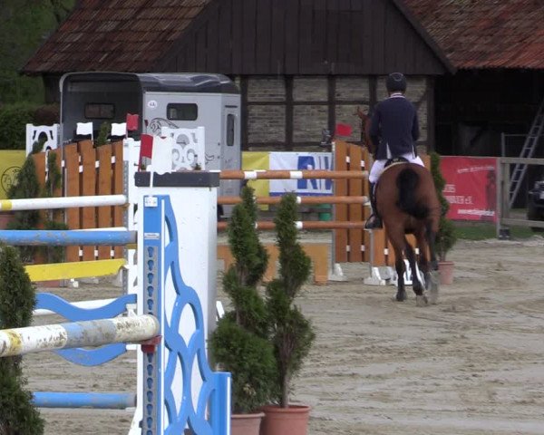 Reitturnier Münster-Handorf 2021