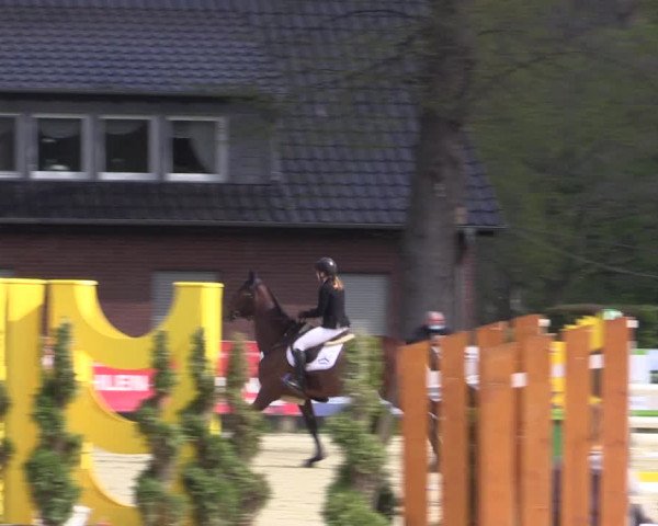 Reitturnier Münster-Handorf 2021