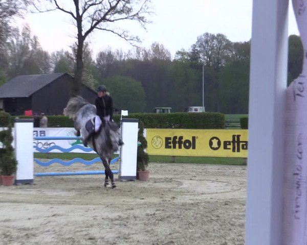 Reitturnier Münster-Handorf 2021