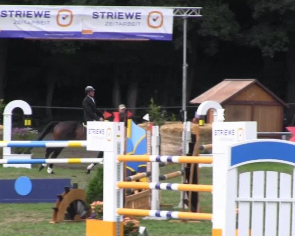 jumper Legolas 65 (Hessian Warmblood, 1998, from Landor S)