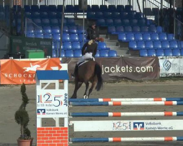 jumper Betsy (Holsteiner, 2009, from Cassiano)