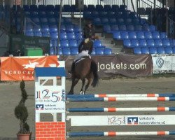 jumper Betsy (Holsteiner, 2009, from Cassiano)