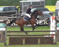 Springpferd Carotino (Holsteiner, 2003, von Caretello B)