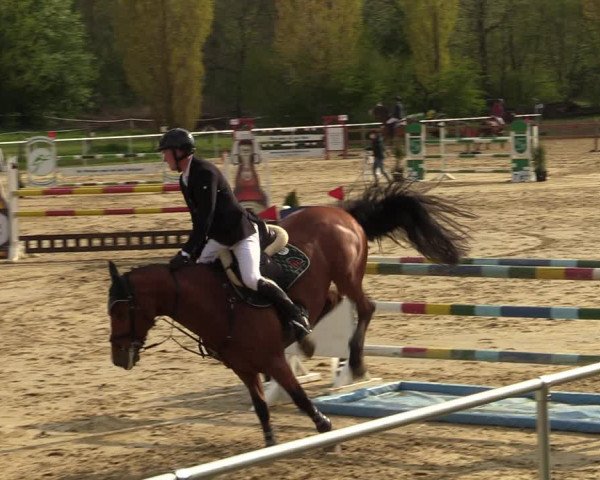 Reitturnier Oelde 2021