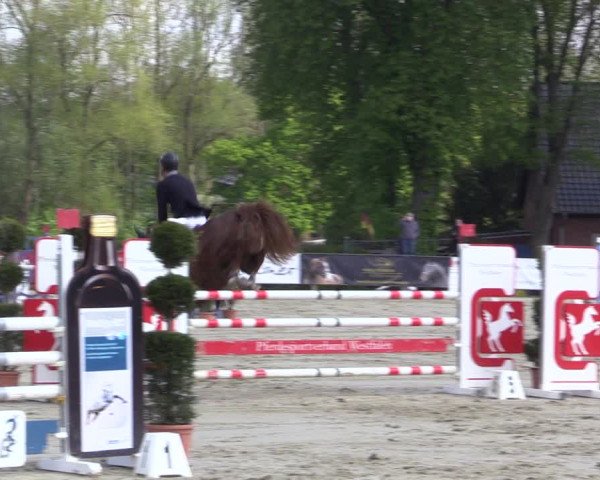 Reitturnier Münster-Handorf 2021