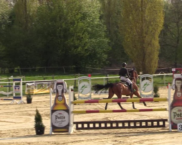 Reitturnier Oelde 2021