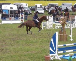 broodmare Tiana 7 (Holsteiner, 2003, from Limbus)