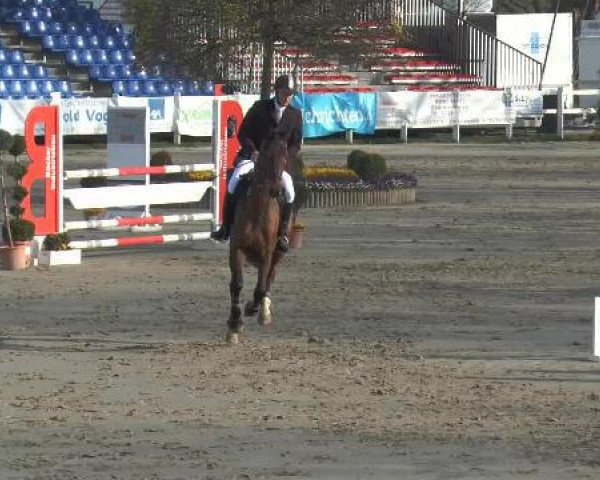 jumper Colt Seavers 2 (Westphalian, 2009, from Captain Fire)